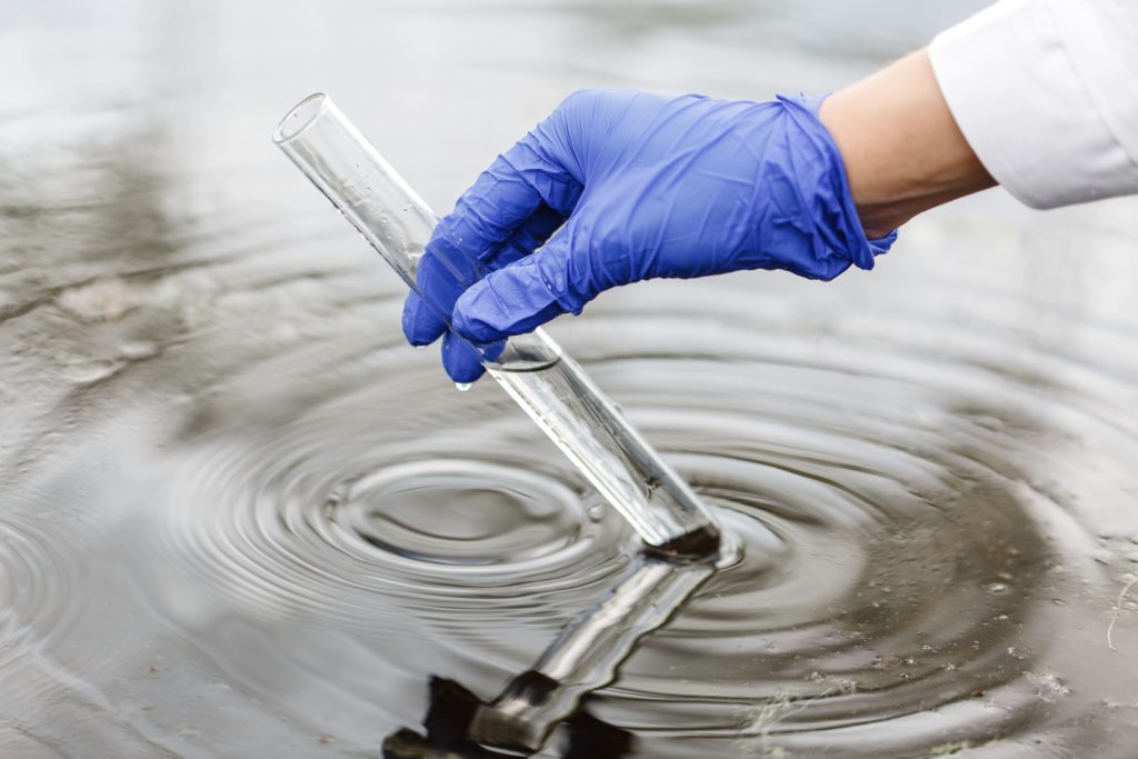 Бактерии и органические вещества в воде